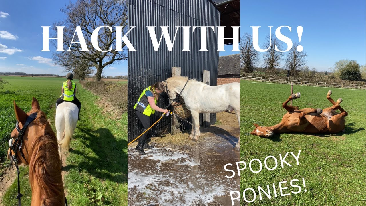 Hacking in Warwickshire |  PART 2