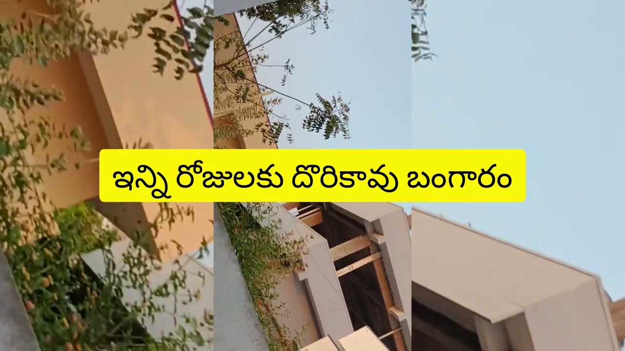  దొరికిపోయ కాపాడాను ఉన్నాడా  gtm..@telugureviews-x1p 
