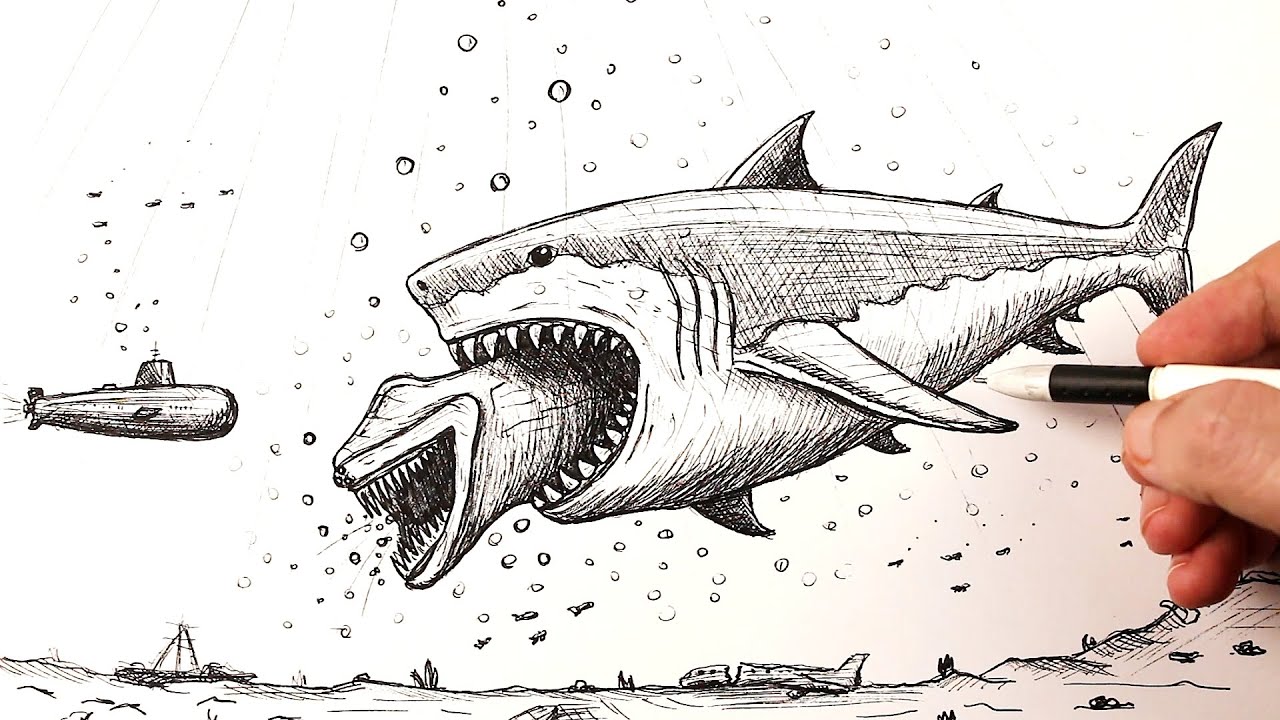 How to draw a Megalodon attack El Gran Maja