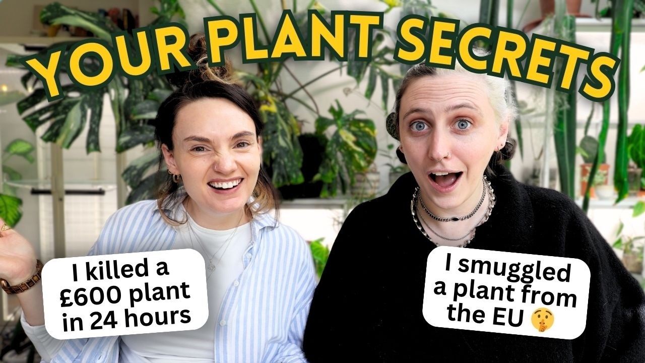 Reacting to Your Plant Secrets & Confessions 🙊