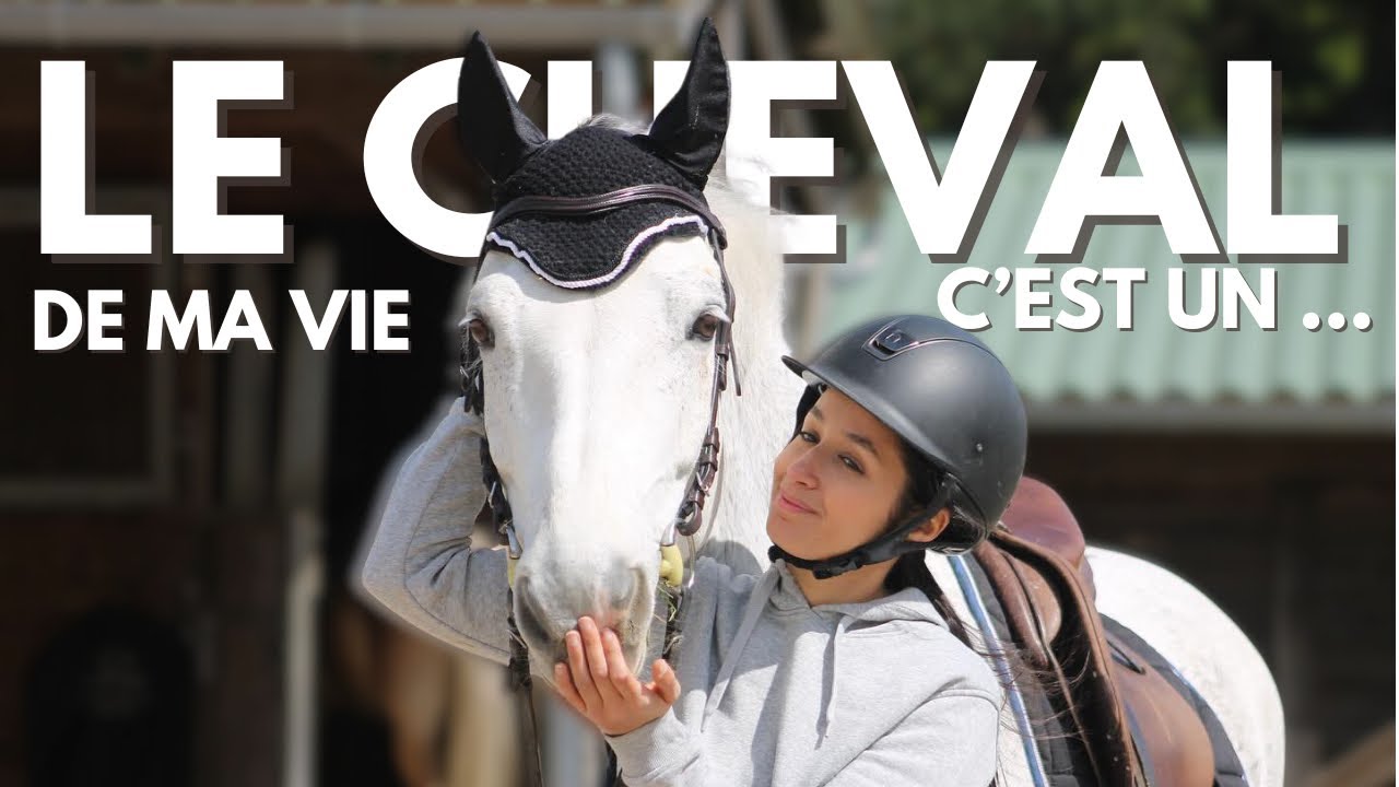 Cheval de club  /VLOG3