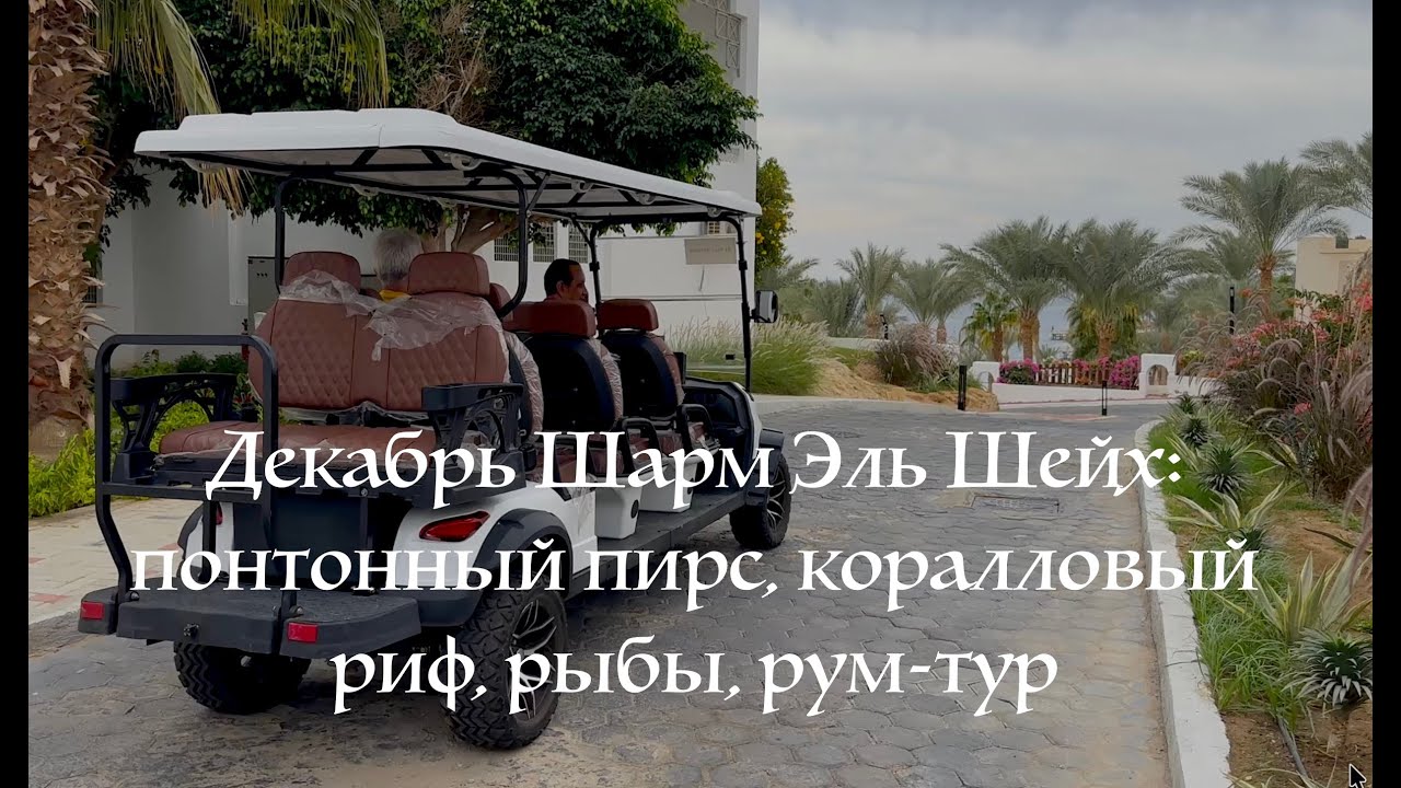 🇪🇬 Декабрь 2025 Шарм Эль Шейх Египет Invidia Coral Beach Tiran: понтонный пирс, коралловый риф