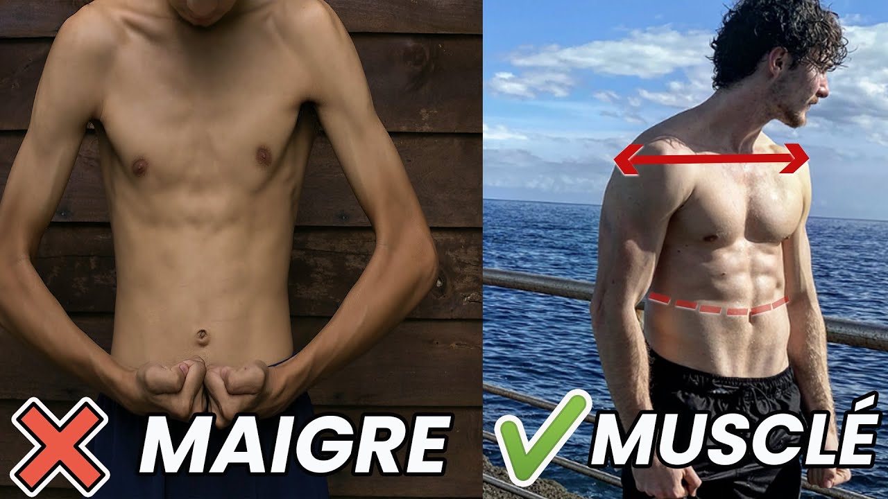 LE MEILLEUR PROGRAMME POUR LES ECTOMORPHES ( Prise de MASSE)