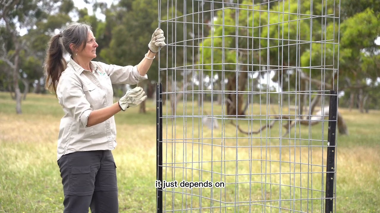 Tree guard Mallee Mesh cattle guards