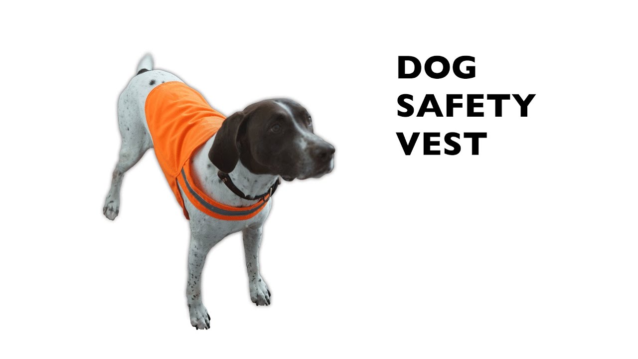 Dog Safety Vest
