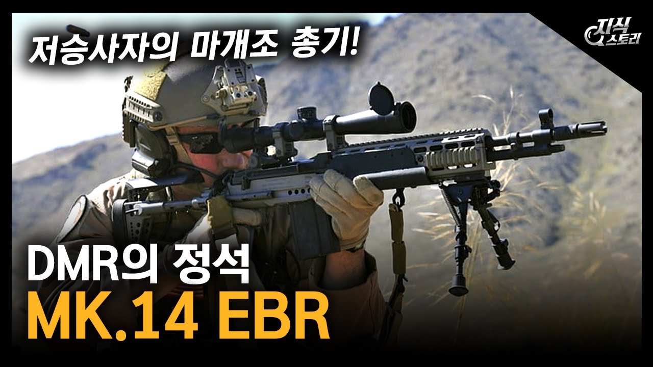 DMR의 정석 MK.14 EBR  / 저승사자의 마개조 총기! [지식 스토리]