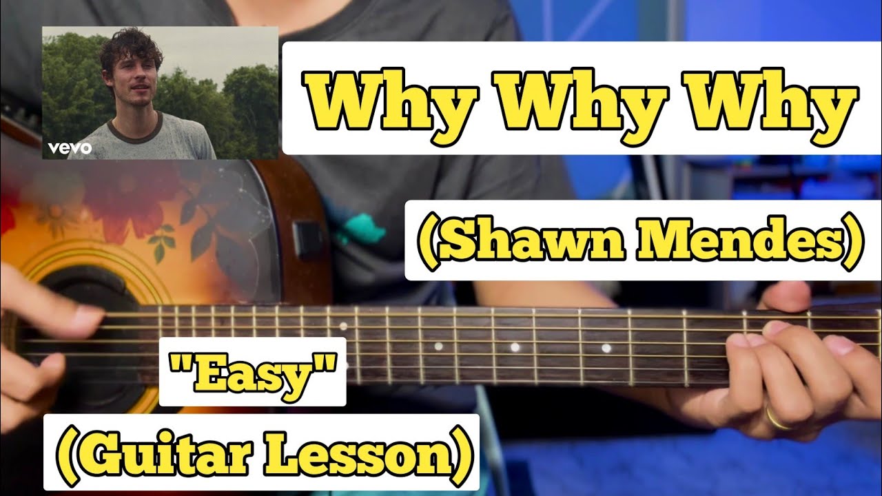 Why Why Why - Shawn Mendes | Guitar Lesson | Easy Chords |