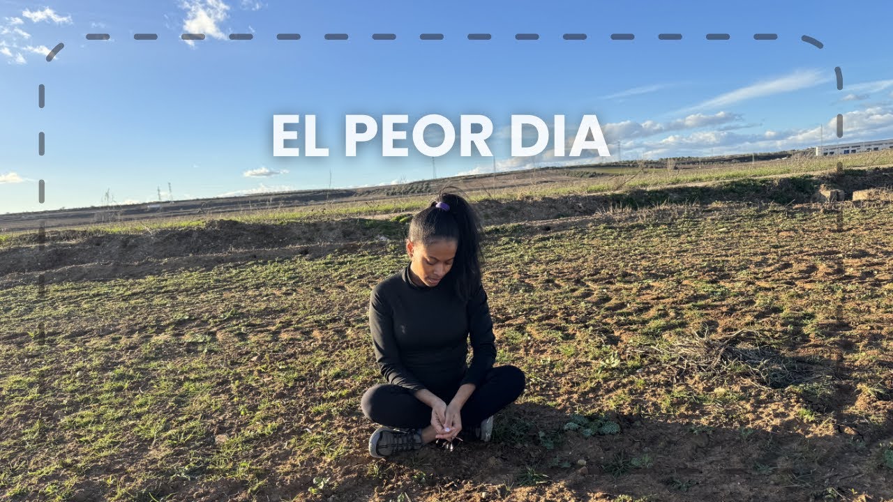 Estaba llorando por la mañana… y esa misma tarde pasó esto.