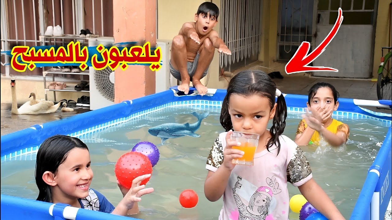 جناوي مشترية مسبح جديد🏊‍♂️ وجمعت جهال المنطقة شوف شصار🔫#ههههه😂