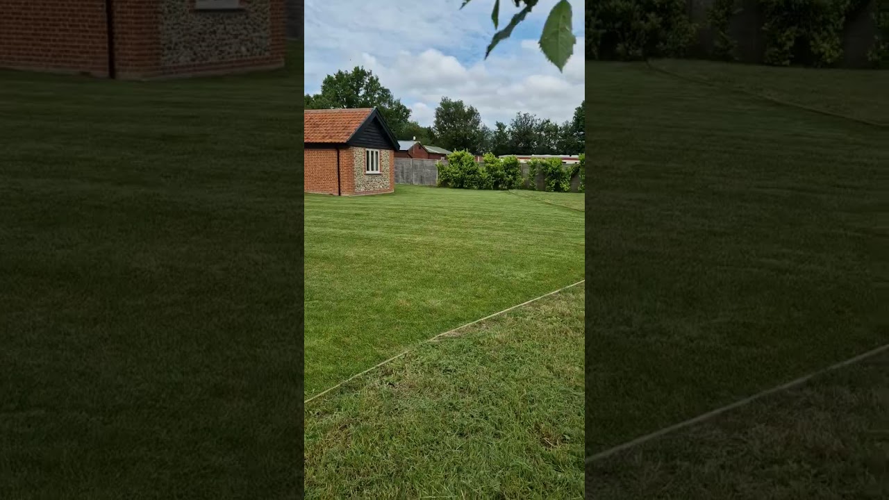 My biggest Mow  blow and go .