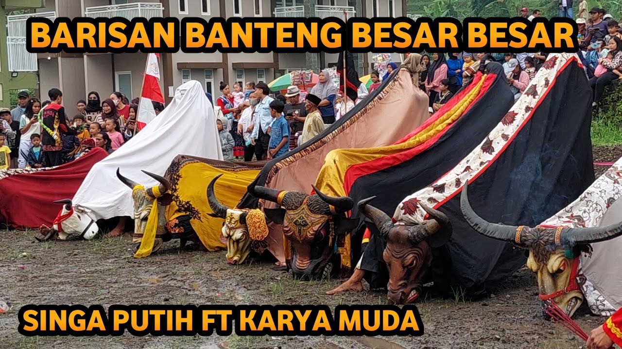 Bantengan Ngamuk Singa Putih Feat Karya Muda Batu Live Padusan Pacet Mojokerto