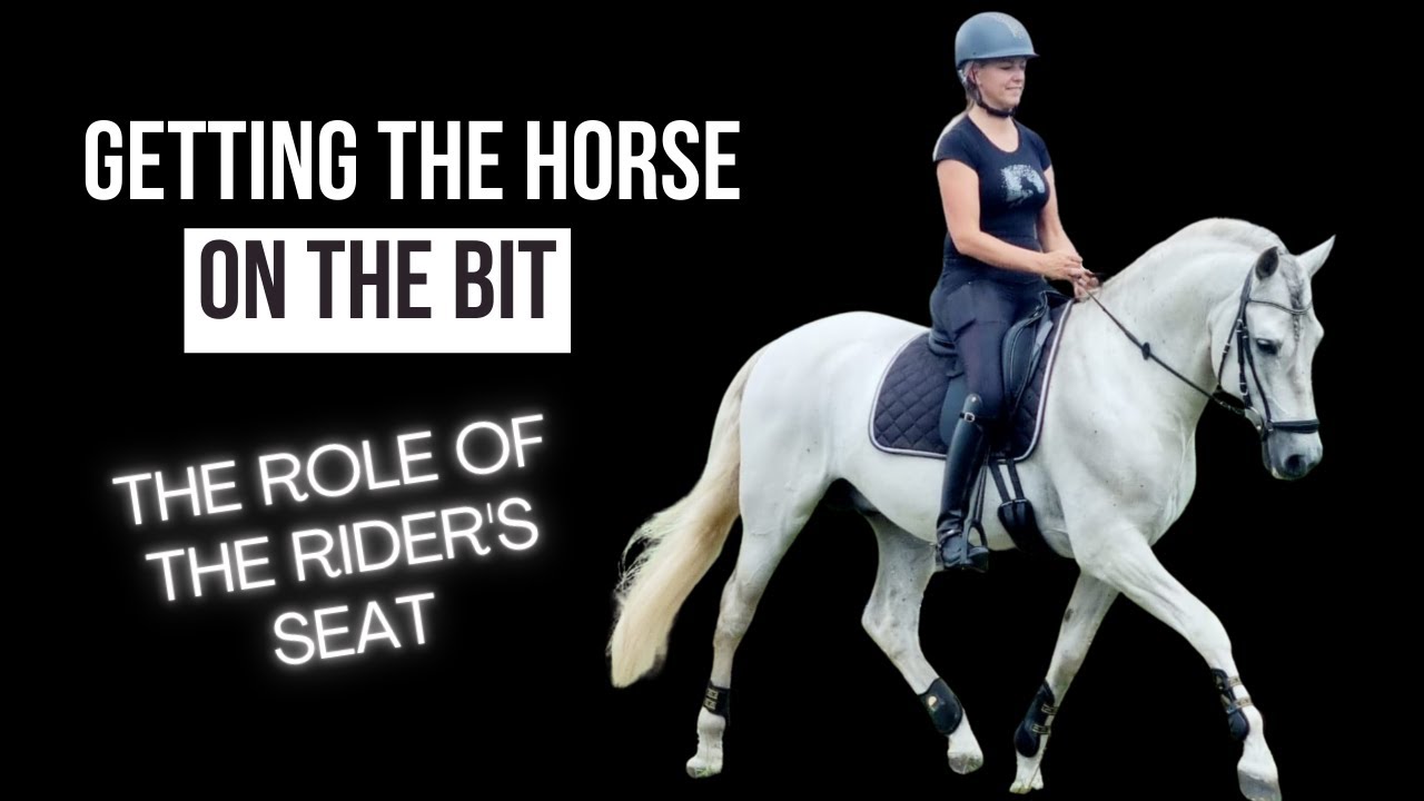 Is your seat preventing your horse from coming 