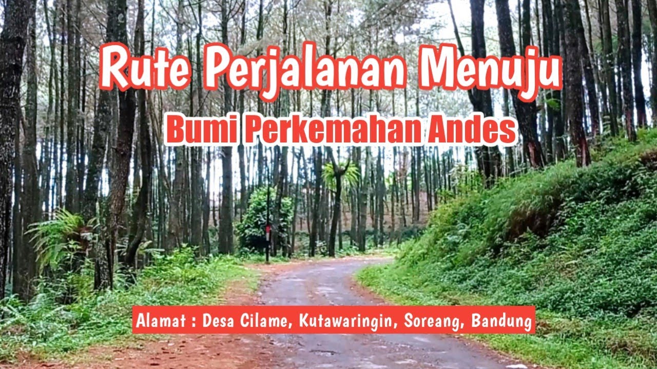 Bumi Perkemahan Andes + Hutan Pinus soreang Bandung