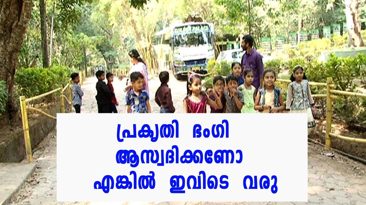 ആറളം വന്യജീവി സങ്കേതം പ്രകൃതി സൗന്ദര്യാസ്വാദകരെ ഏറെ ആകർഷിക്കുന്ന ഇടം ...
