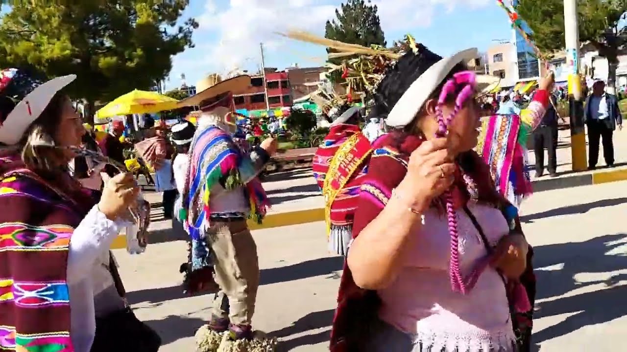 FIESTA DE LA LLAMICHADA 