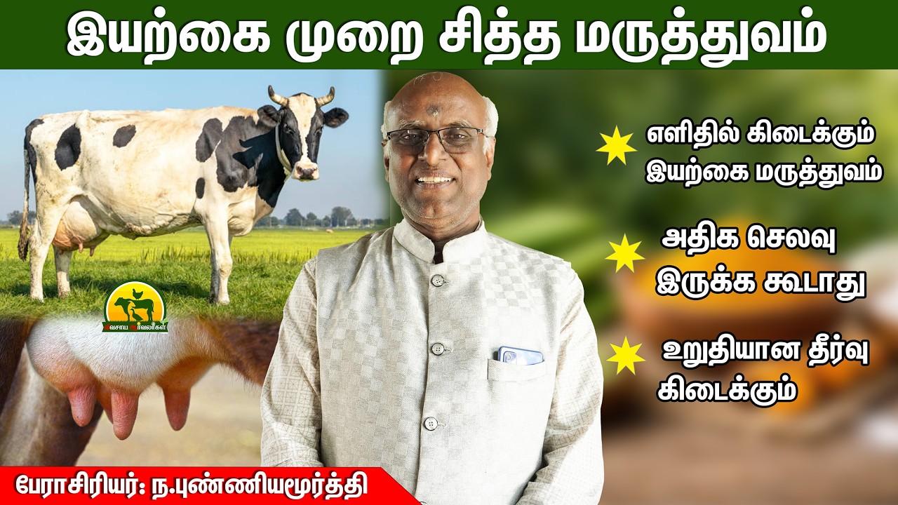 அதிக செலவு இல்லை! மாடுகளின் மடி நோய்க்கு சித்த தீர்வு @விவசாய ஆர்வலர்கள் Vivasaya Arvalargal