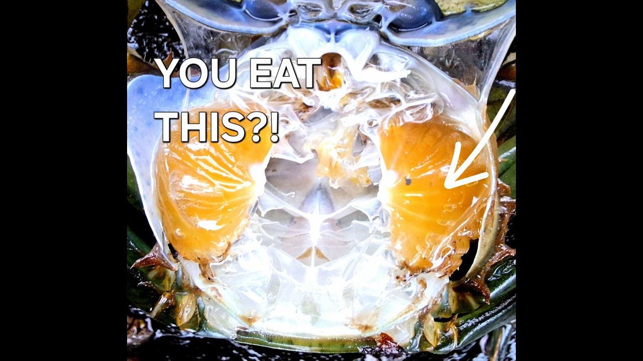 I Opened a Crab and Found This...