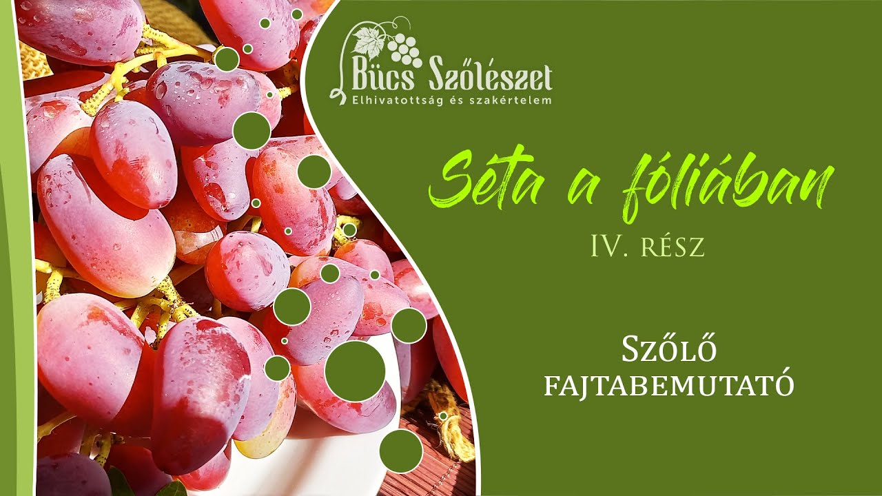 Séta a fóliában 4 rész