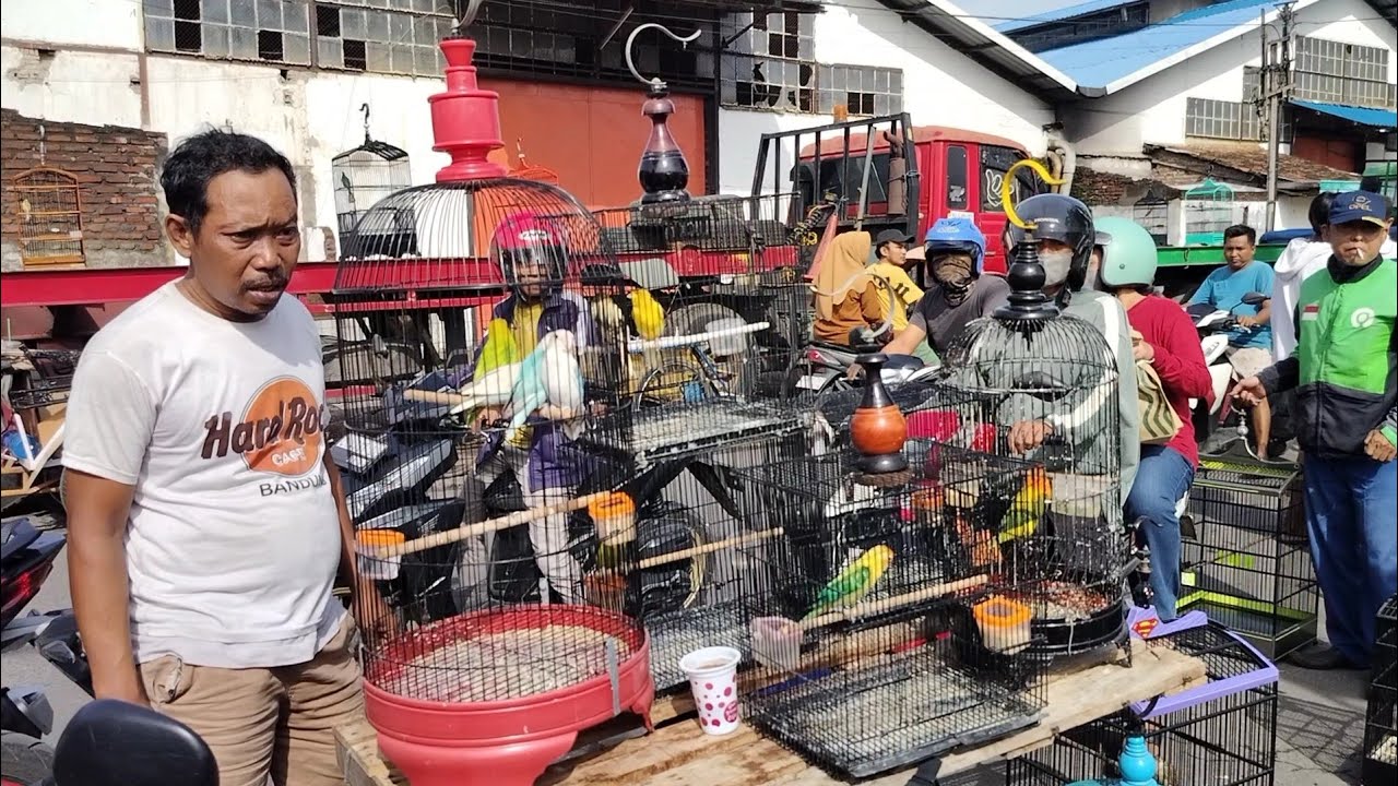 menjelang akhir tahun harga burung di PB PETEKAN Surabaya di bakar habis