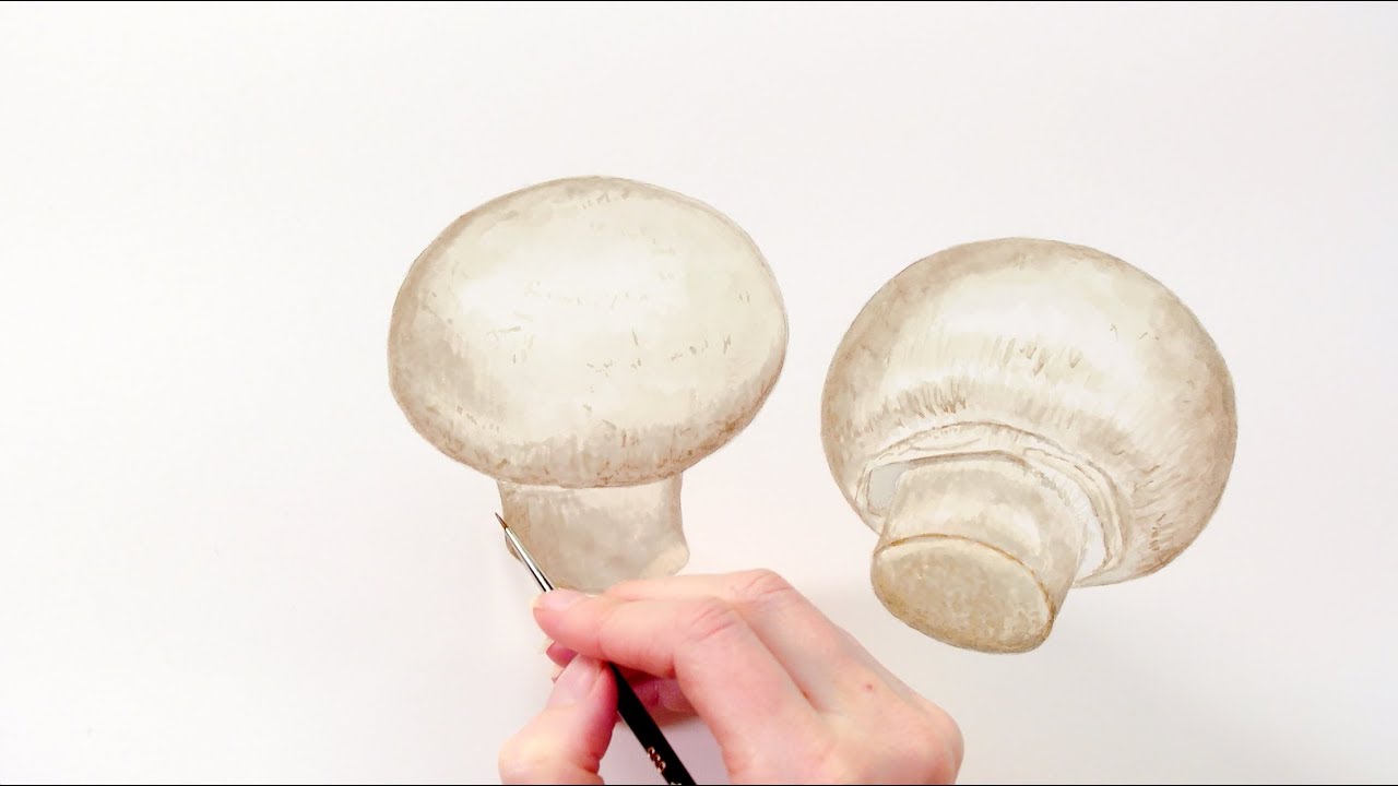 How to paint realistic rounded mushrooms in watercolour with Anna Mason