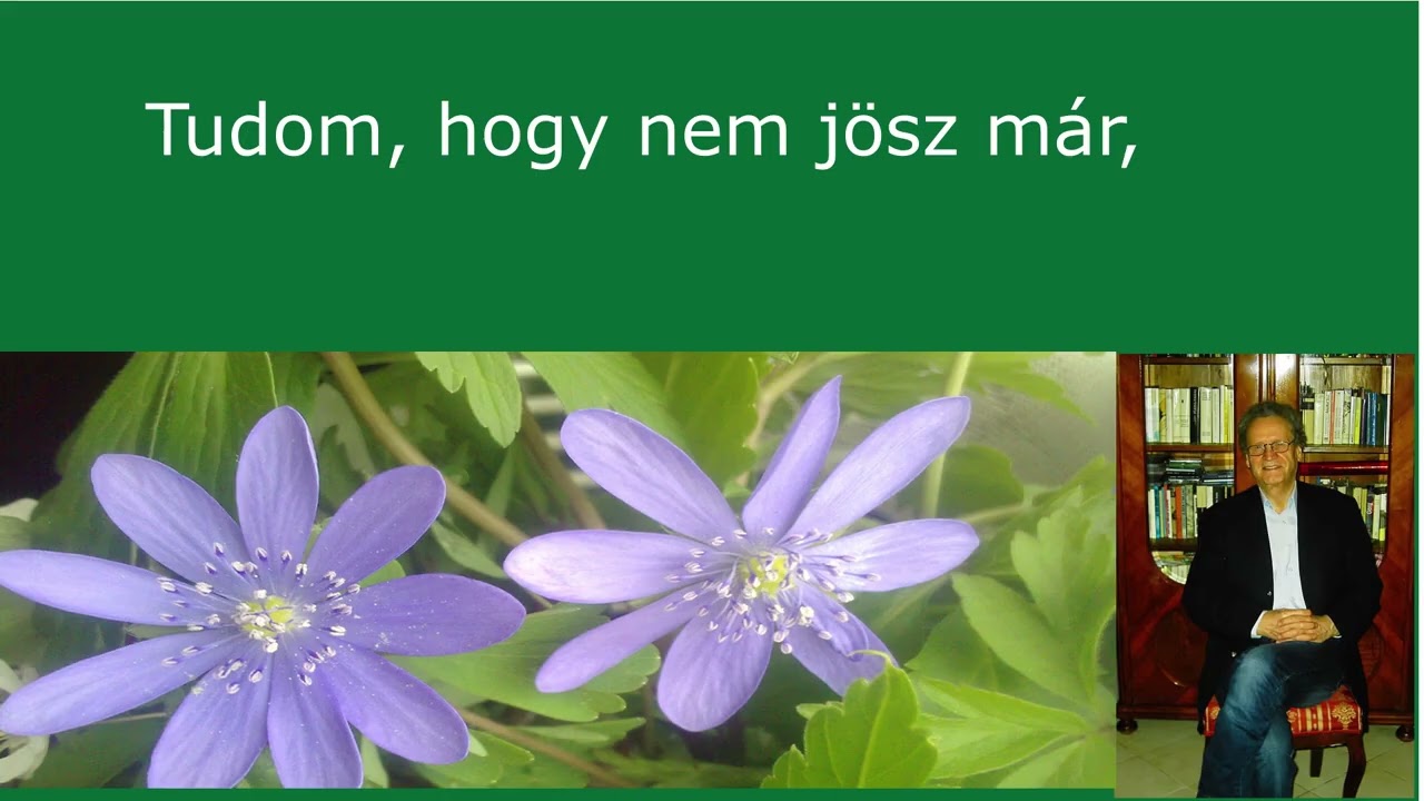 Magyarnóta Karaoke Szeretnélek újra