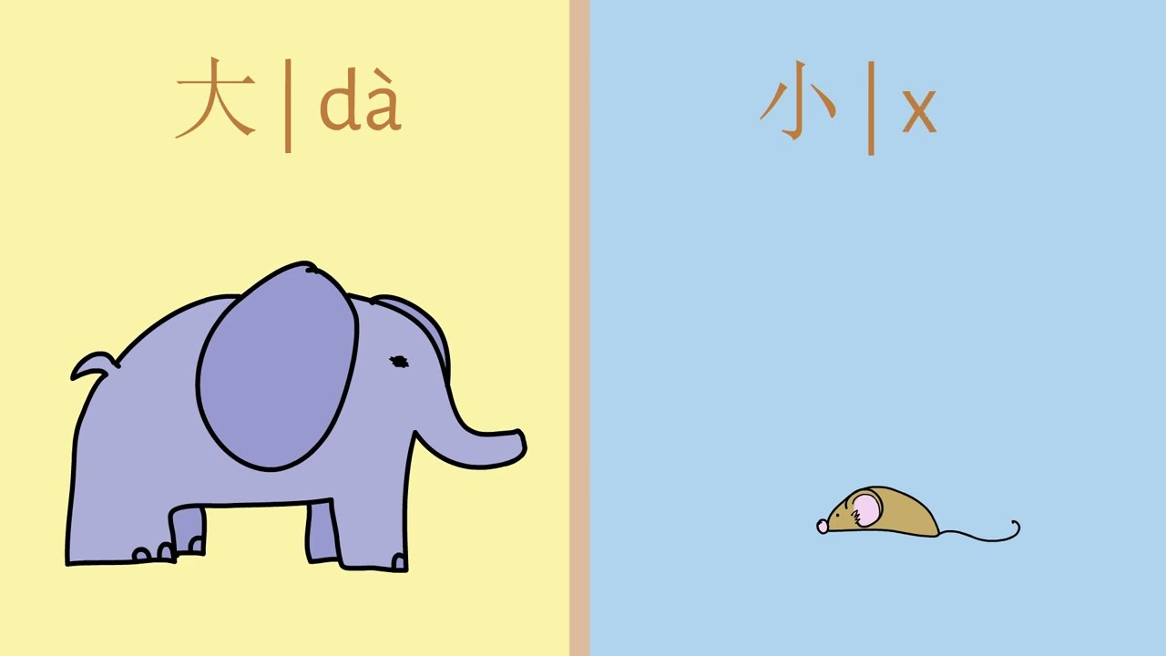 宝宝学中文 | 教宝宝对比 | Making Comparisons in Chinese | 一步中文