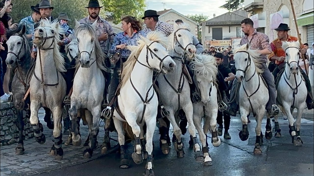 Fête du muguet AUBORD Abrivado bandido