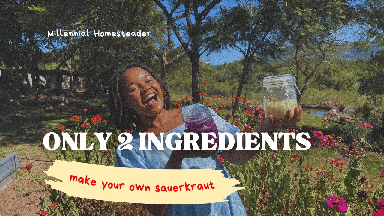 How to Make Sauerkraut with only 2 ingredients | Easy Sauerkraut Recipe At Home