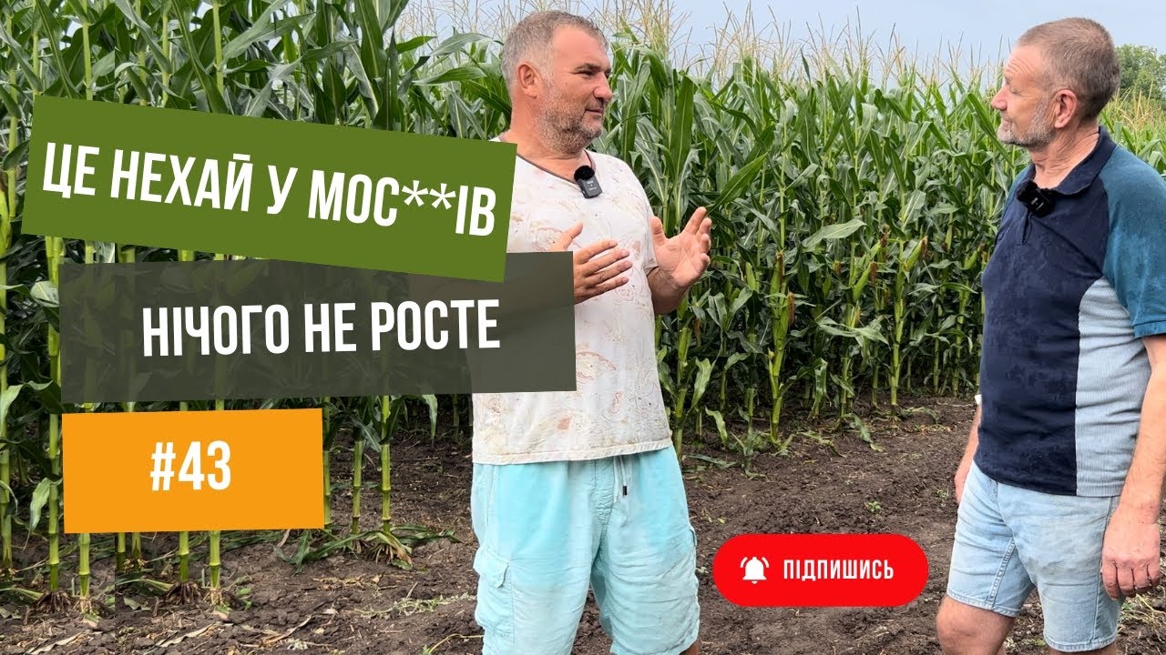 Запрошуємо на День Поля‼️24 серпня‼️Любар, Житомирська область ☺️Юрій Дробязко.