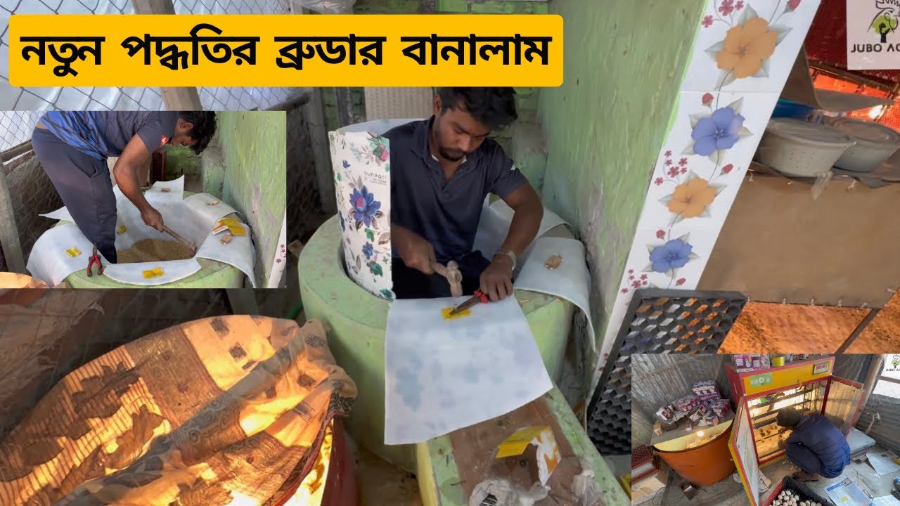 পুরনো জিনিস দিয়ে নতুন বাচ্চা ব্রুডিং করার জায়গা তৈরি করলাম