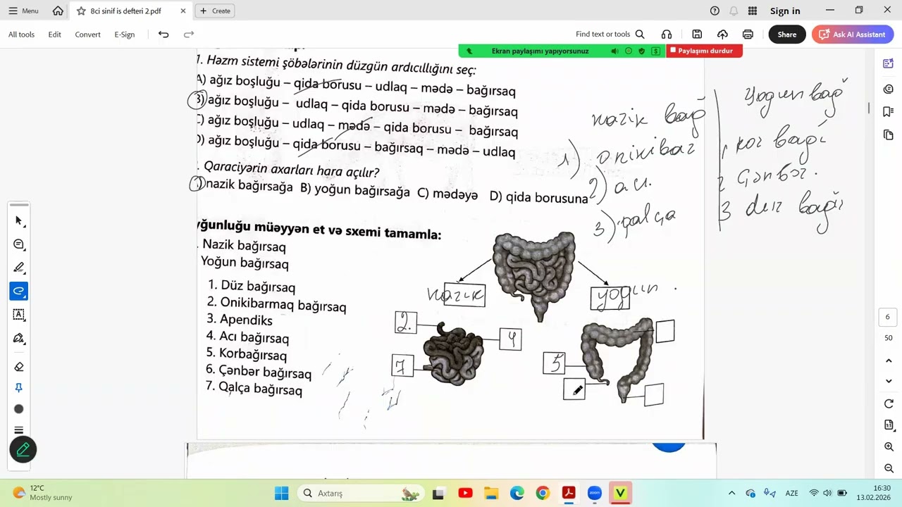 BİOLOGİYA 8ci sinif is defteri 5.2Həzm sisteminin quruluş və funksiyalari5.3 İnsan orqanizminde hezm