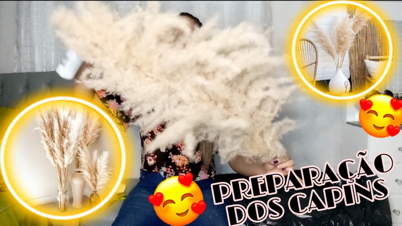 COMPREI os queridinhos CAPINS DOS PAMPAS ✨ São lindos😍