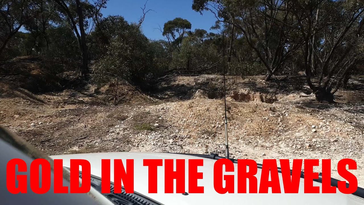 GOLD in the GRAVEL