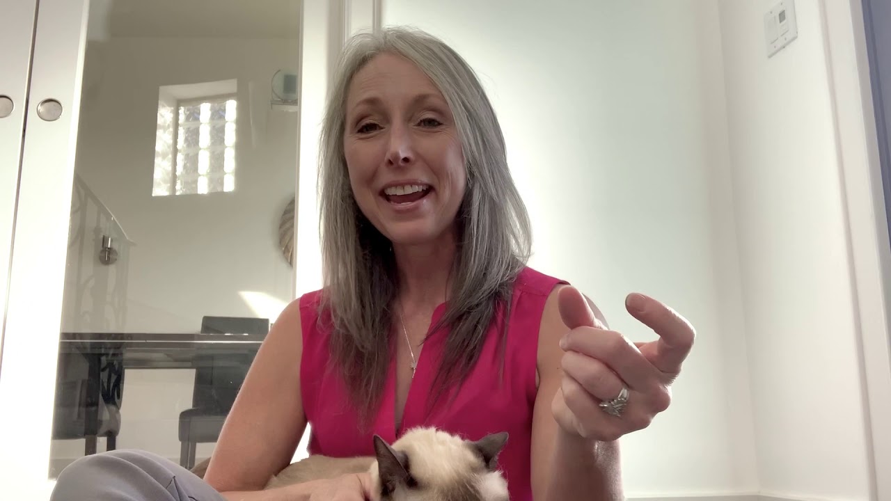 Holistic Cat Care:  How to properly clean your cat's ears | Purrrfectly Holistic