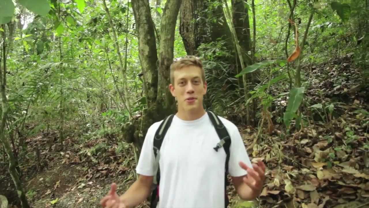 TL2E BCI Learning tropical ecology