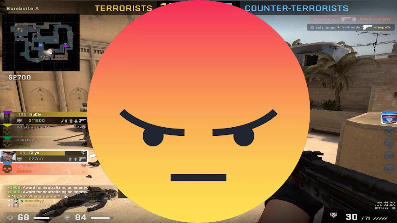CSGO - Funny Few Game Clip¬