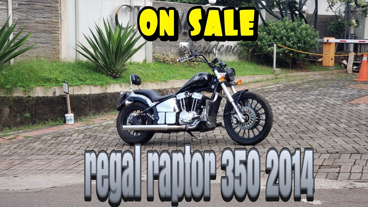 regal raptor daytona 350
