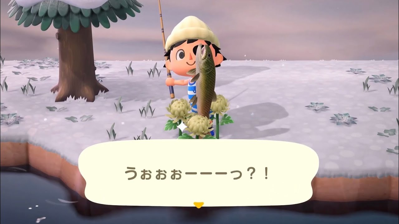 【あつ森】イトウ釣れるまで終われまてん‼︎をやろうとしたらまさかの結果に⁉