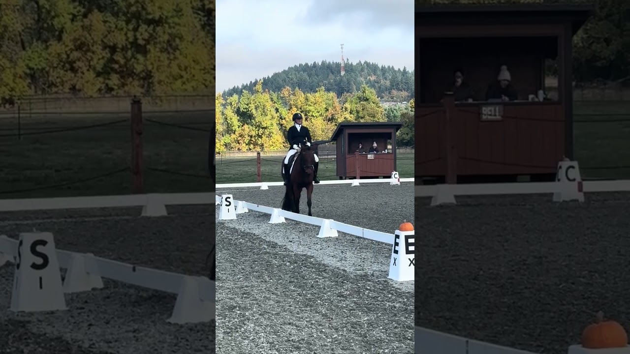 RHR Catalina’s first show 