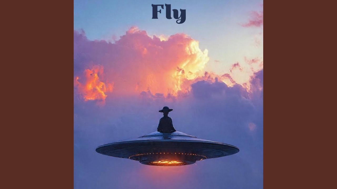 Fly