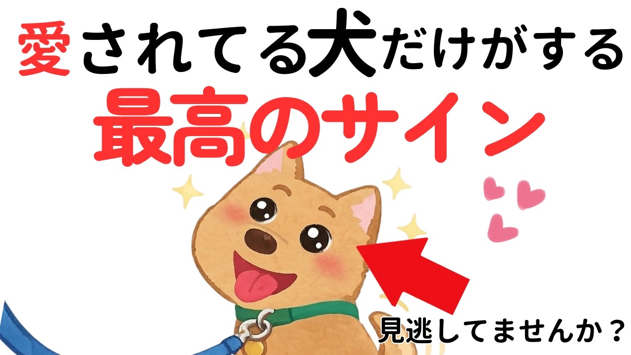 実は大切にされた犬だけがする行動7選