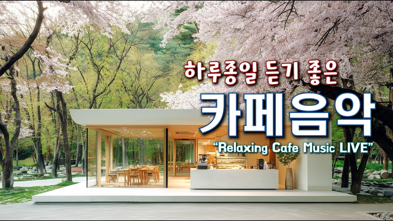 카페에서 듣기 좋은 음악과 하루를 함께 하세요 ☕일할때 듣기 좋은 음악 🎧아침에 듣기 좋은 음악  Relaxing Cafe Music Playlist 260226