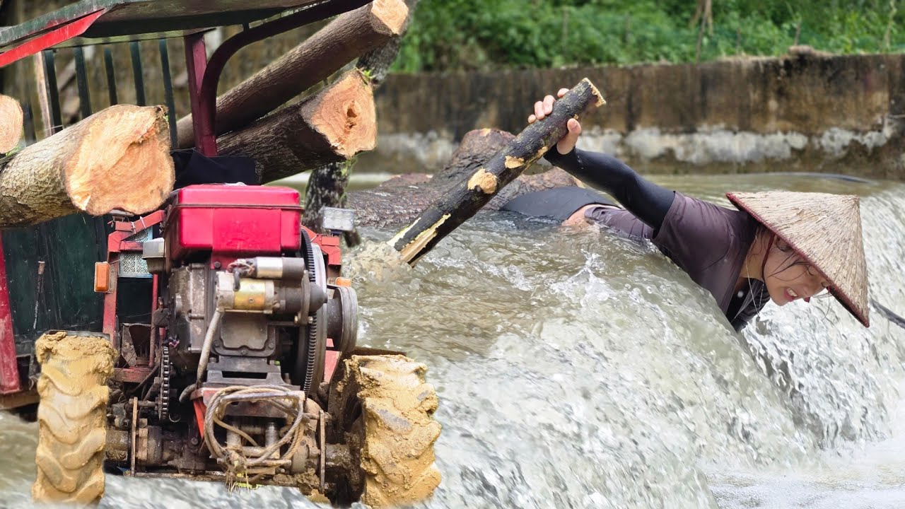 Agricultural truck and girl have trouble transporting wood through swamp and waterfall #agricultural