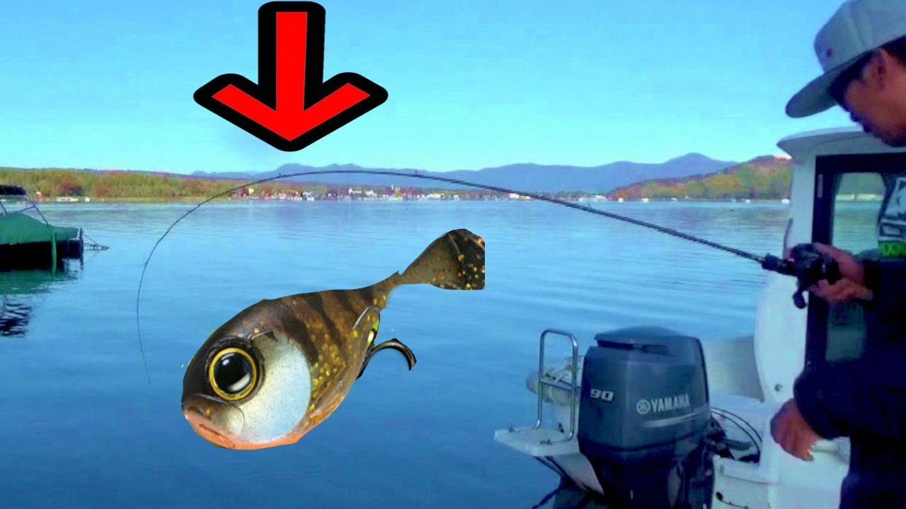 【バス釣り】最新ルアーのデラボールはやっぱりヤバカッタ！