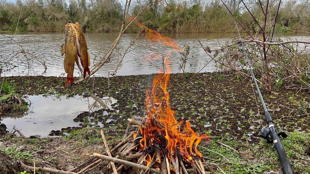 Naturaleza, Exploración “Pesca y Cocina” Maravilloso arroyo muchos piques y lugares