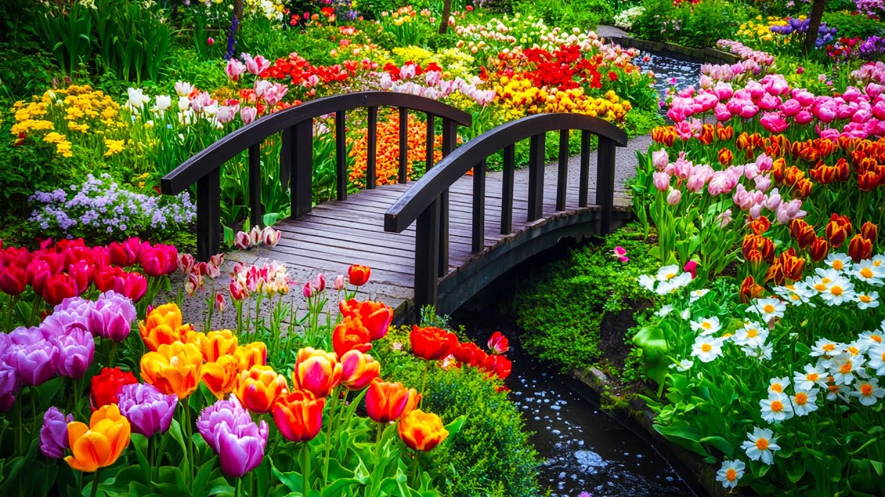Уютная прогулка по саду – чарующая красота сотен цветущих растений 🌿🌸