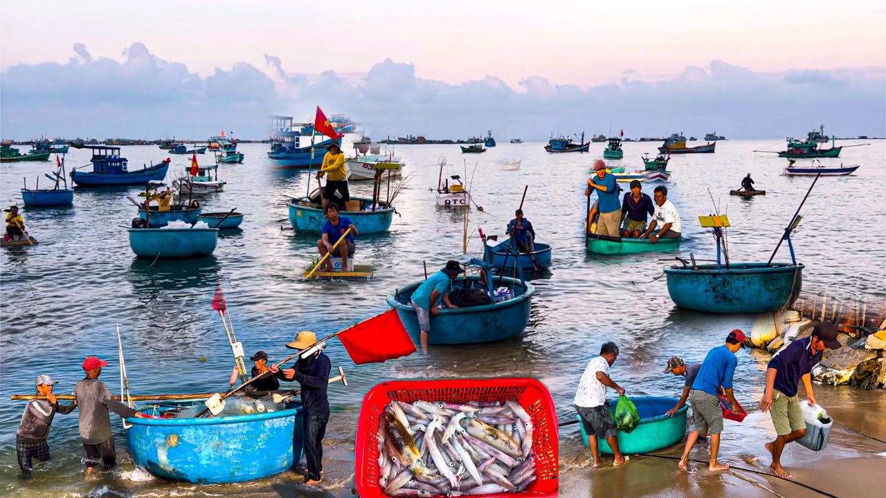 DƯƠNG ĐÔNG Tin Vui Ngư Dân Xuất Hành Đầu Năm Đều Ấm No Thuận Lợi | Chợ Bà Đến Kẹt Cứng Đường Đi