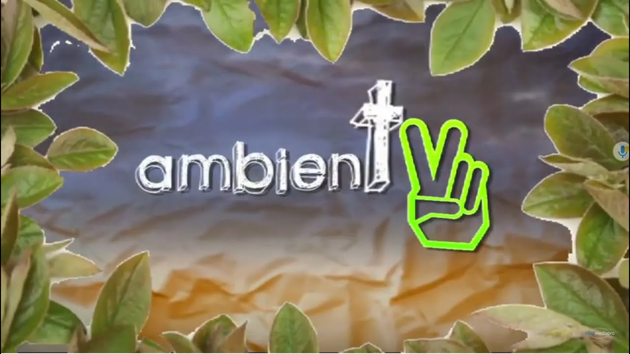 PILOTO PROGRAMA AMBIENTV