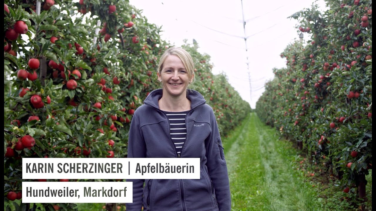 Obst - Regionaler Apfelanbau