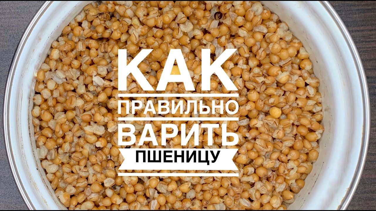 Как правильно сварить пшеницу для рыбалки. Лучшая насадка на леща, плотву, красноперку, голавля